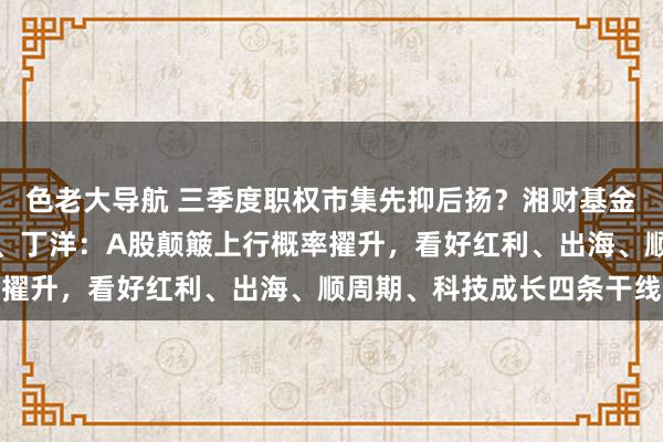 色老大导航 三季度职权市集先抑后扬？湘财基金徐亦达、包佳敏、张泉、丁洋：A股颠簸上行概率擢升，看好红利、出海、顺周期、科技成长四条干线