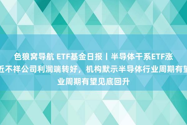 色狼窝导航 ETF基金日报丨半导体干系ETF涨幅逾越，近不祥公司利润端转好，机构默示半导体行业周期有望见底回升