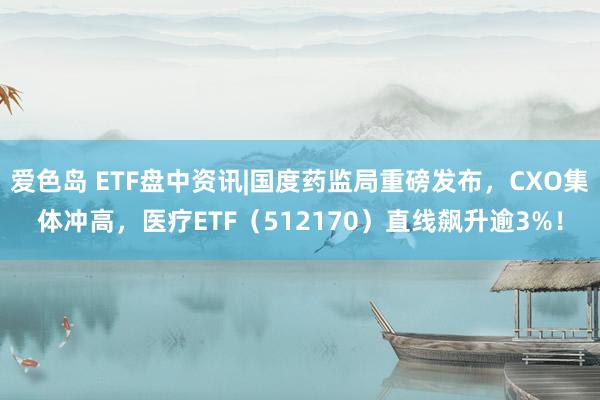 爱色岛 ETF盘中资讯|国度药监局重磅发布，CXO集体冲高，医疗ETF（512170）直线飙升逾3%！