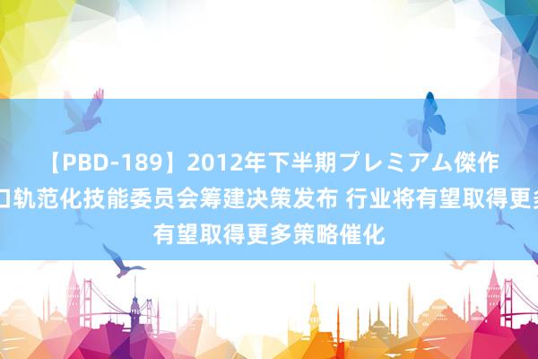 【PBD-189】2012年下半期プレミアム傑作選 脑机接口轨范化技能委员会筹建决策发布 行业将有望取得更多策略催化