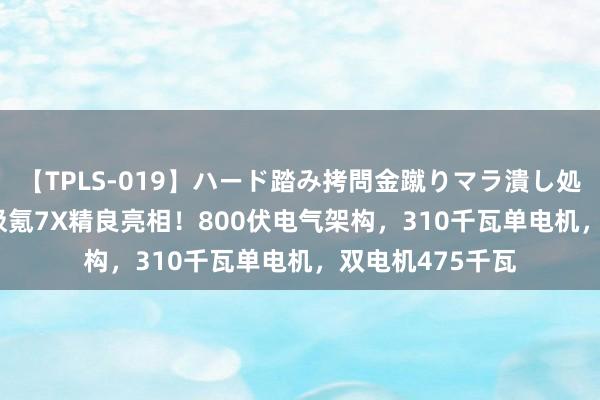 【TPLS-019】ハード踏み拷問金蹴りマラ潰し処刑 JUN女王様 极氪7X精良亮相！800伏电气架构，310千瓦单电机，双电机475千瓦