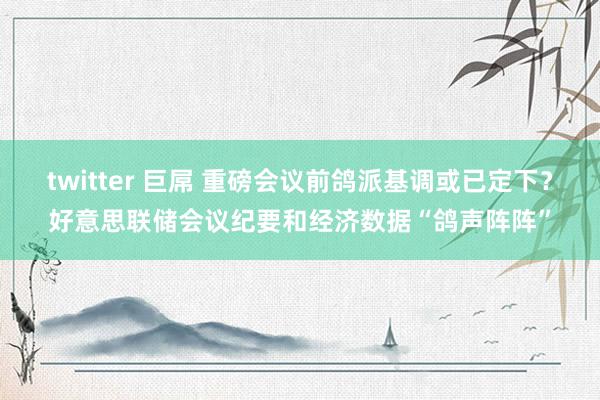 twitter 巨屌 重磅会议前鸽派基调或已定下？好意思联储会议纪要和经济数据“鸽声阵阵”