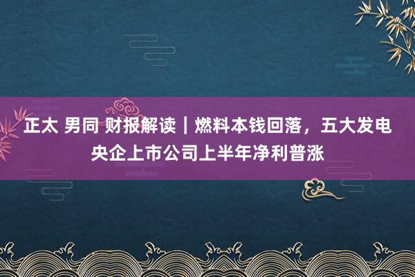 正太 男同 财报解读｜燃料本钱回落，五大发电央企上市公司上半年净利普涨