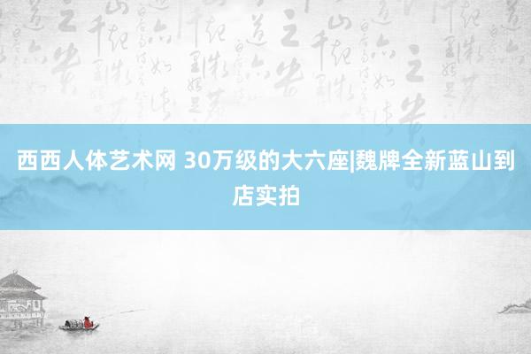 西西人体艺术网 30万级的大六座|魏牌全新蓝山到店实拍