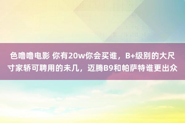 色噜噜电影 你有20w你会买谁，B+级别的大尺寸家轿可聘用的未几，迈腾B9和帕萨特谁更出众