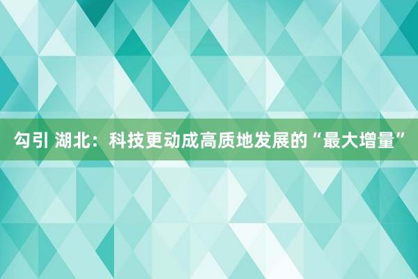 勾引 湖北：科技更动成高质地发展的“最大增量”