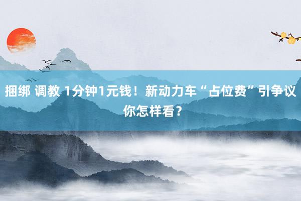 捆绑 调教 1分钟1元钱！新动力车“占位费”引争议 你怎样看？