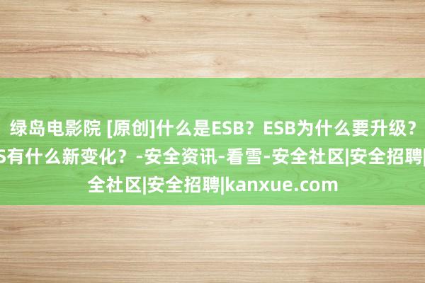 绿岛电影院 [原创]什么是ESB？ESB为什么要升级？从ESB到iPaaS有什么新变化？-安全资讯-看雪-安全社区|安全招聘|kanxue.com