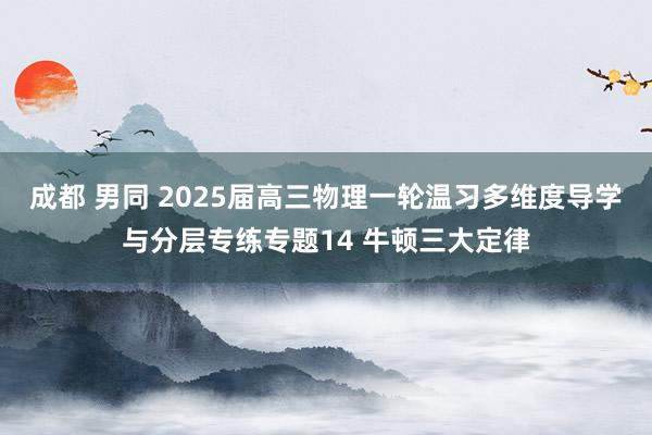 成都 男同 2025届高三物理一轮温习多维度导学与分层专练专题14 牛顿三大定律